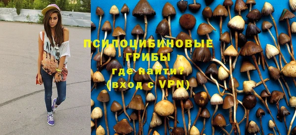 крисы Армянск