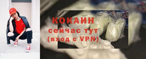 крисы Армянск