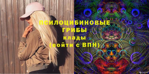 крисы Армянск