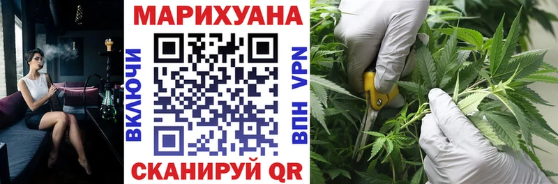 Канабис гибрид  Ивангород 
